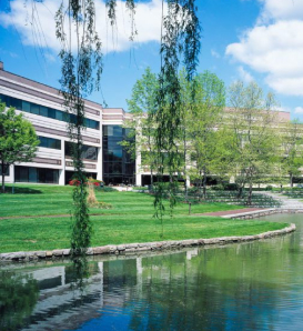 Exterior photo of the back of an office building with a pond and weeping willow tree.