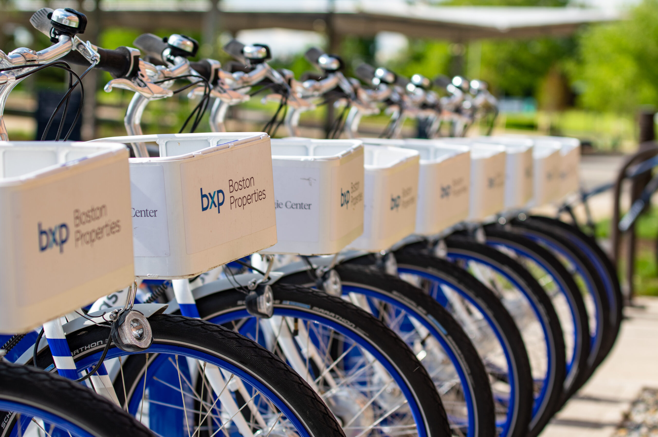 A row of bicycles with front white baskets featuring BXP